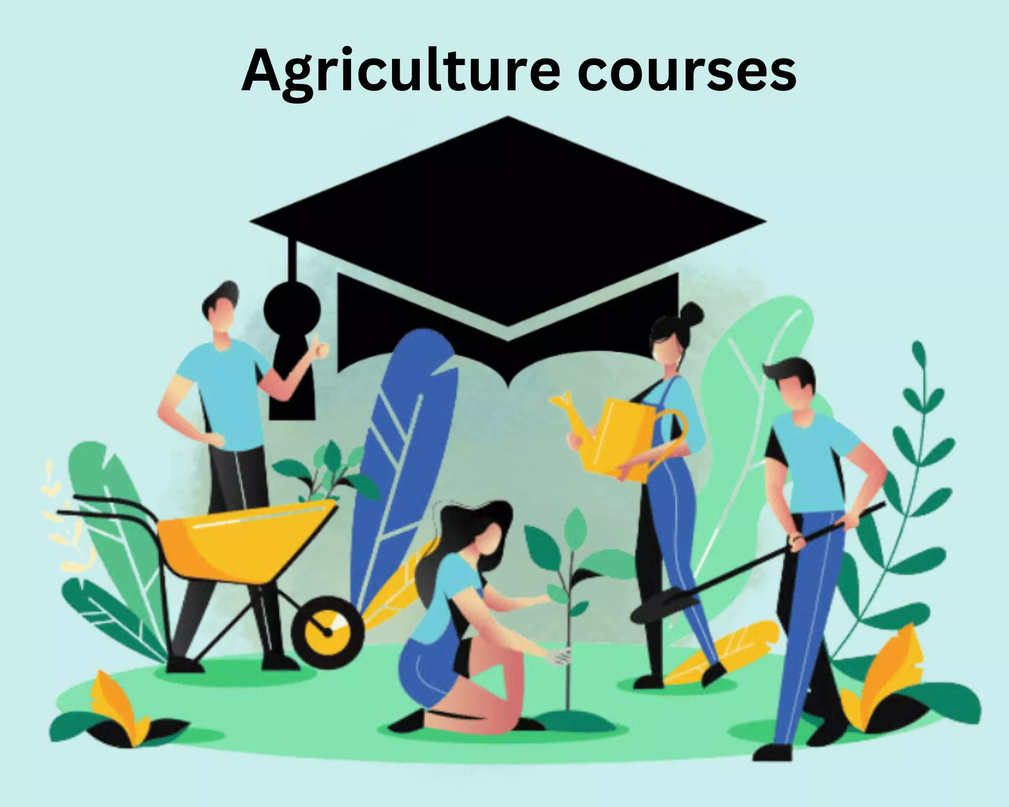 Seize The Moment: Elevate Your Career With A Master's and PhD In Agriculture