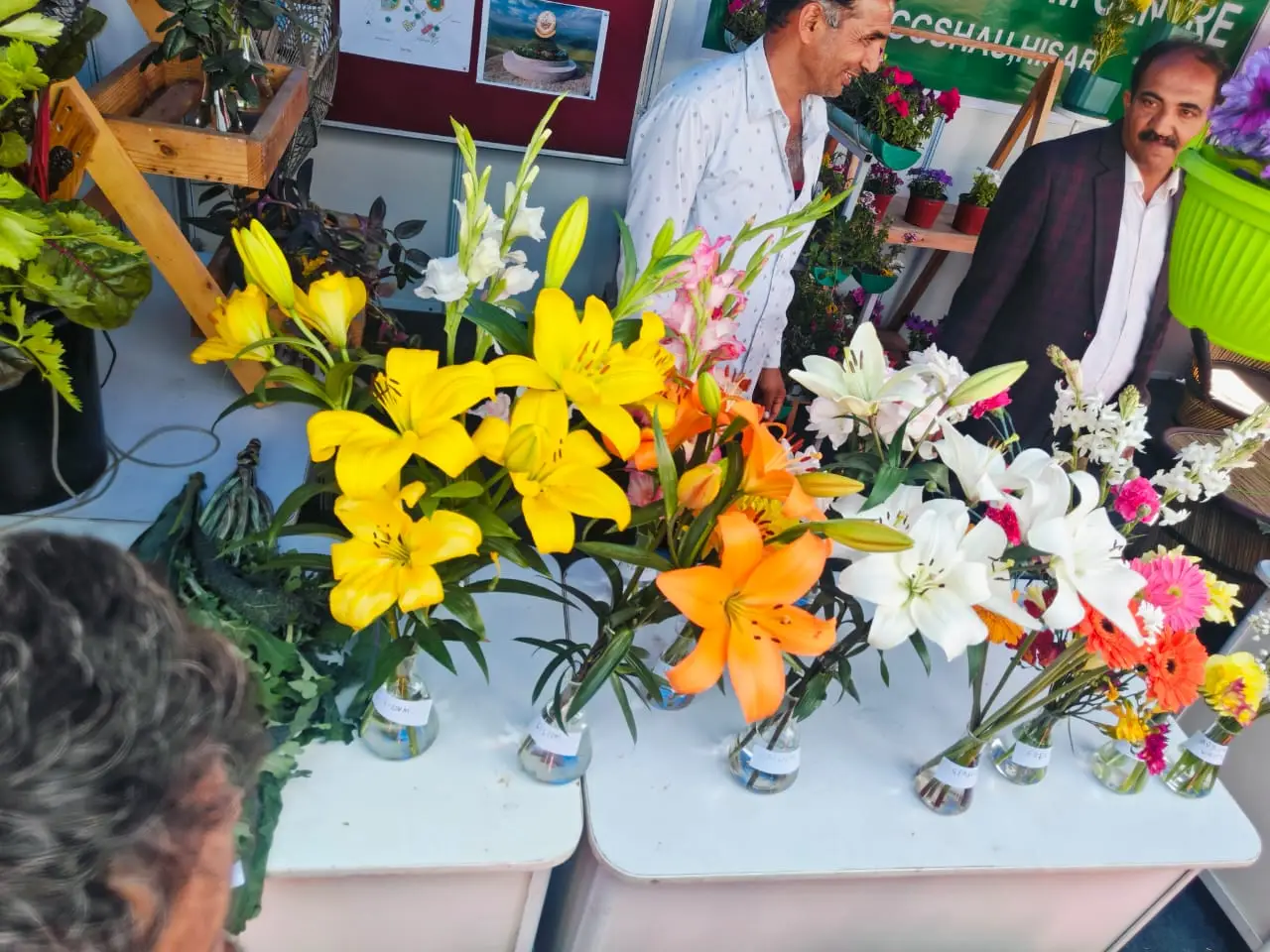 Krishi Mela