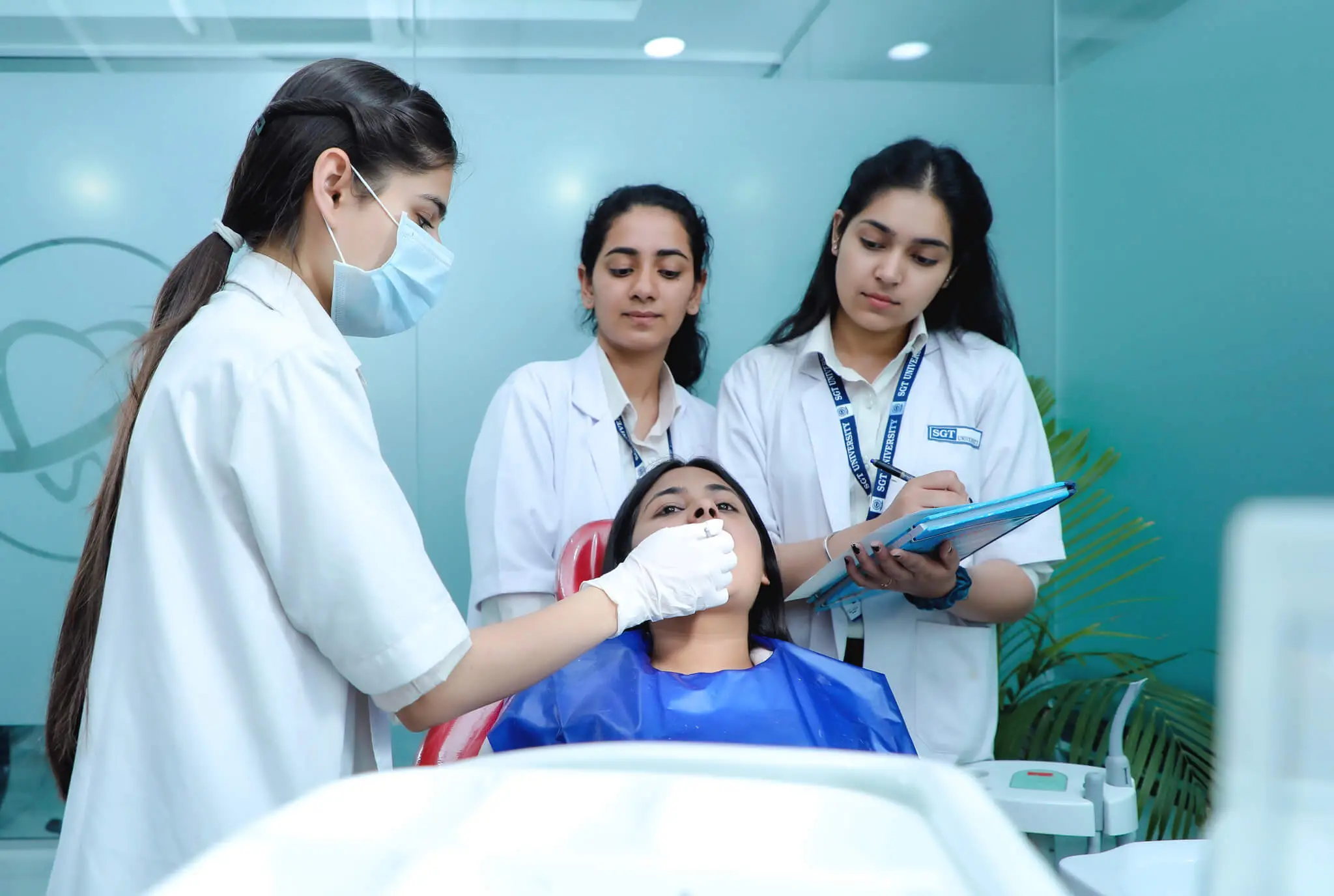 Doctor of Philosophy in Orthodontics and Dentofacial Orthopedics