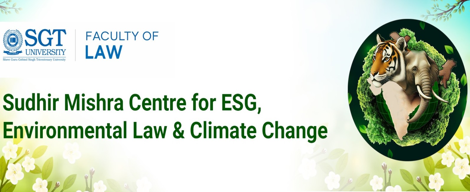 About Faculty of law