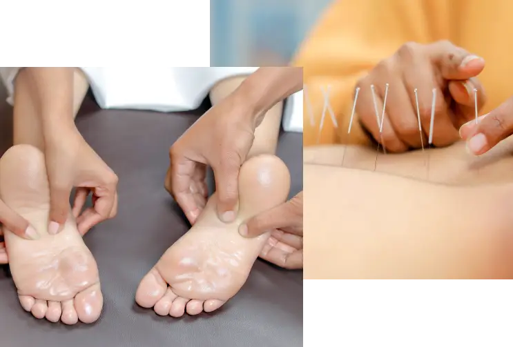 About Naturopathy & Yoga