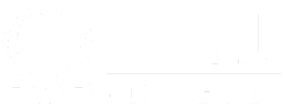 Shree Guru Gobind Singh Tricentenary University (SGT University)